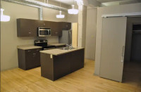 2 BEDROOM APARTMENT LEASE FOR 8 MONTH