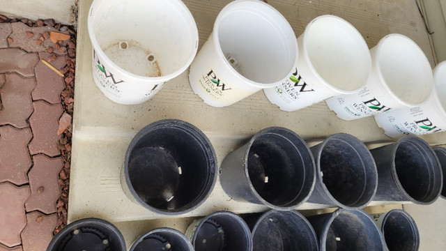 varies plant pots in Plants, Fertilizer & Soil in Calgary - Image 3