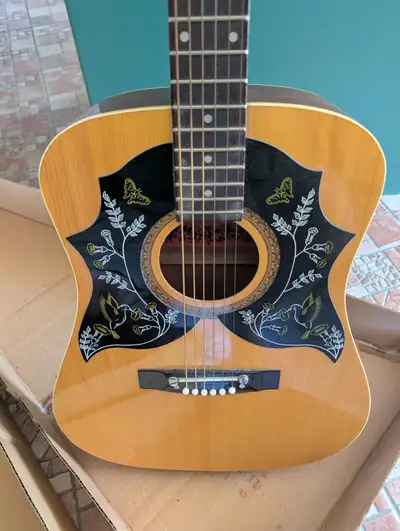 Acoustic guitar - La Costa, View more