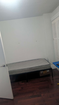 Meadowvale Town Centre 1 person Shared Basement - $670
