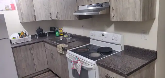 1 Bedroom Basement for Rent