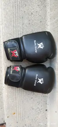 Budo world boxing gloves