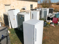 Lots of working vintage fridges for CHEAP!