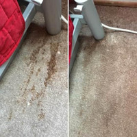 The Home Carpet Rug And Sofa Cleaner