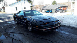 1985 Pontiac Firebird