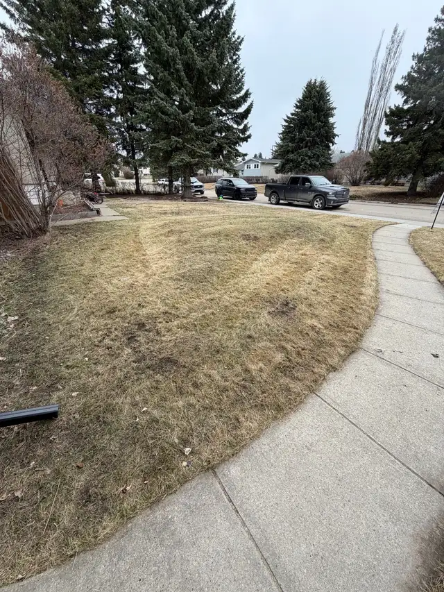 Backyard Cleaning & Yard Work Services – Edmonton449234463967815683