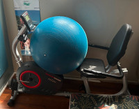 Like new recumbent bike. Great condition, lightly used.