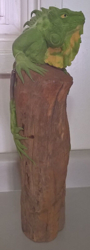 Lizard Iguana Figurine Statue Ornament 15 in tall in Arts & Collectibles in Oshawa / Durham Region - Image 3