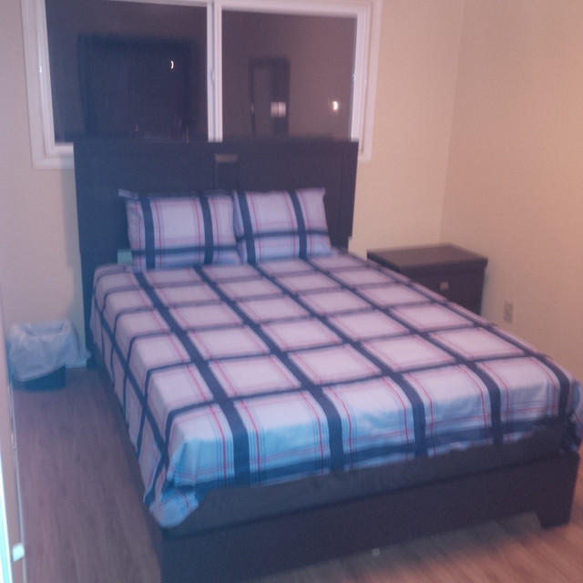 Master Room for rent - Hinton - Available Now! in Room Rentals & Roommates in St. Albert