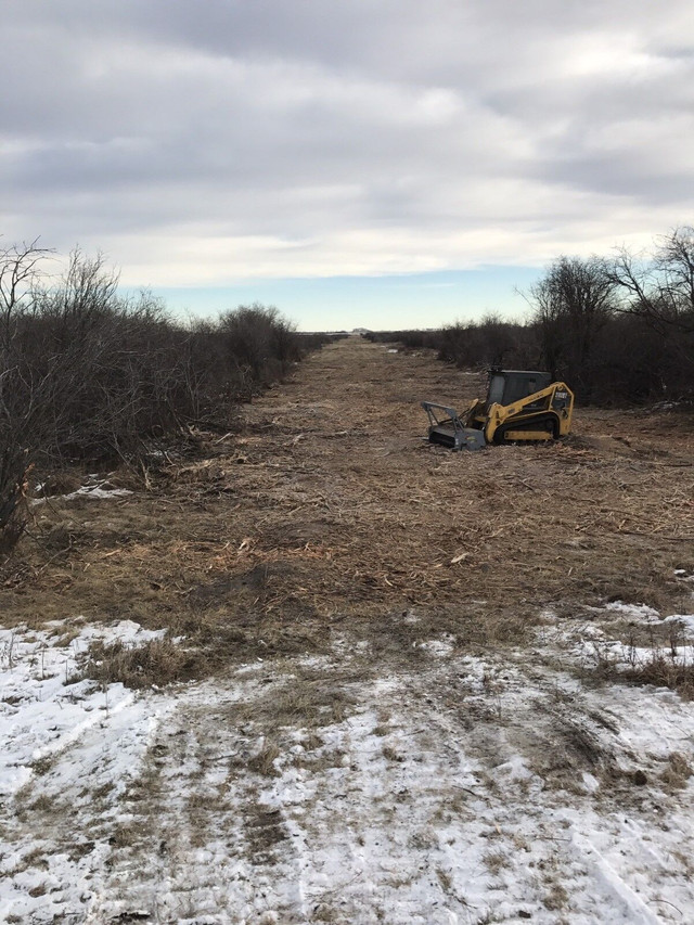 Tree Mulching and Skid Steer Services in Lawn, Tree Maintenance & Eavestrough in Saskatoon - Image 4