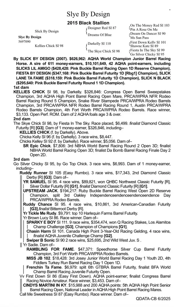 Son of SLYE BY DESIGN out of a Famous Bugs daughter in Horses & Ponies for Rehoming in Oshawa / Durham Region - Image 11