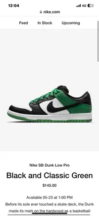 Nike Sb dunk low pro classic green 