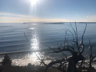 Located 180 kms from Halifax Nova Scotia International Airport this 25 acre Off Grid property has ov...