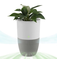 Bloom Air Purifier for Large Rooms with Planter, H13 HEPA