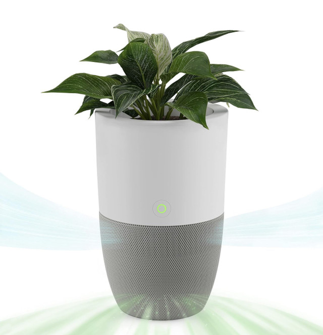 Bloom Air Purifier for Large Rooms with Planter, H13 HEPA in Home Décor & Accents in London