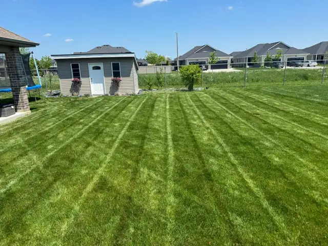 Grass Cutting441533317514547206