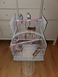 Large Beautiful Budgie Cage - Excellent Condition