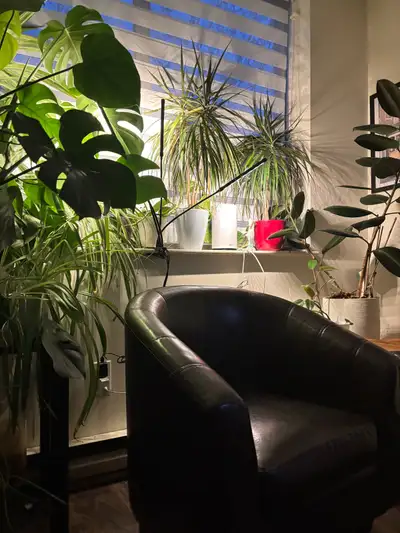 2 Bedroom Apartment (shared)