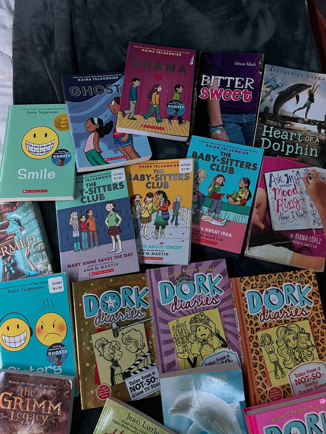 Pre-teen chapter books  in Children & Young Adult in Kingston