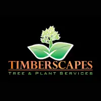 Tree Removal & Maintenance Services