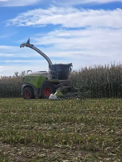 Custom Silage , View more