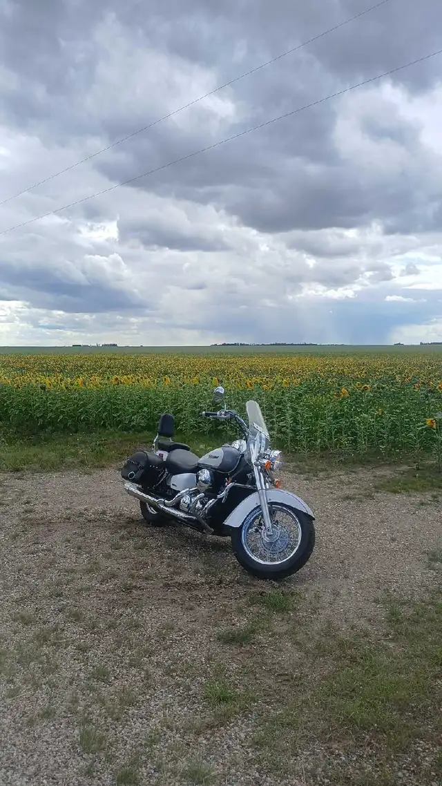 motorcycle for sale in Street, Cruisers & Choppers in Grande Prairie - Image 3