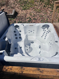 Hot tub chemical balance and cleaning special!