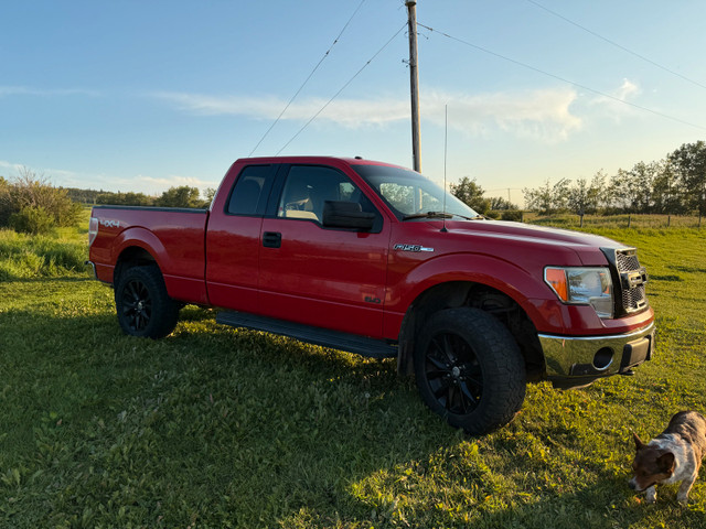2011 Ford F150 XLT in Cars & Trucks in Calgary - Image 3