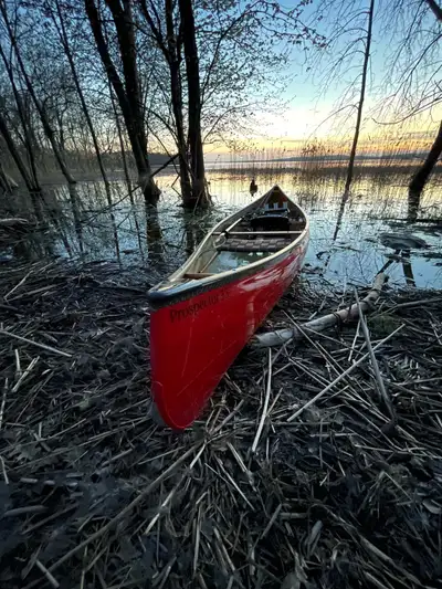 Selling my Swift Prospector 15 Combi Canoe with Black & Gold Carbon Kevlar Trim. This is a premium,...