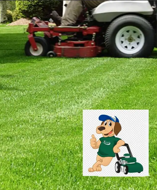 J Dawggs Lawncutting Services62863247161345123