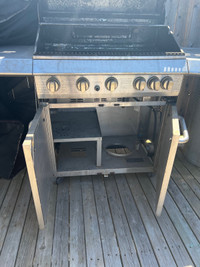 Barbeque Gas Grill 