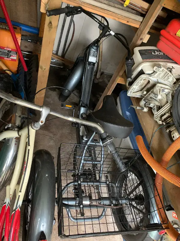 Electric tricycle in eBike in Hamilton - Image 4