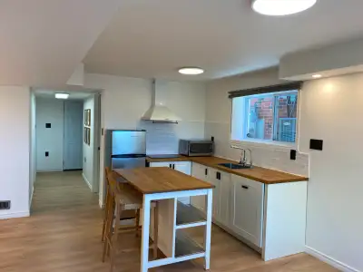 Legal walkout basement. This fully finished open-concept bachelor studio features a separate entranc...