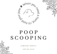 Poop Scooping Service 