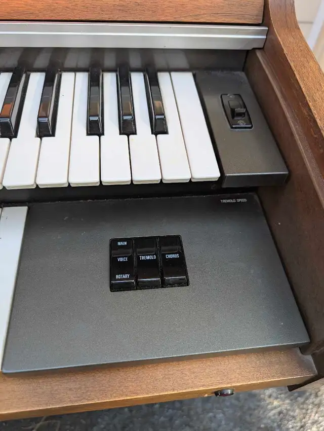 Yamaha Electone BK-5504020685450137603