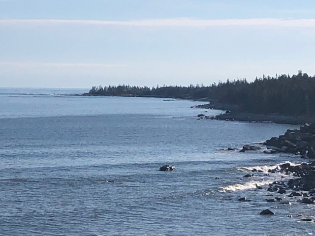 Off Grid Ocean View Property dans Terrains à vendre  à Saguenay - Image 2