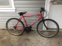 Adult Bike for sale. 