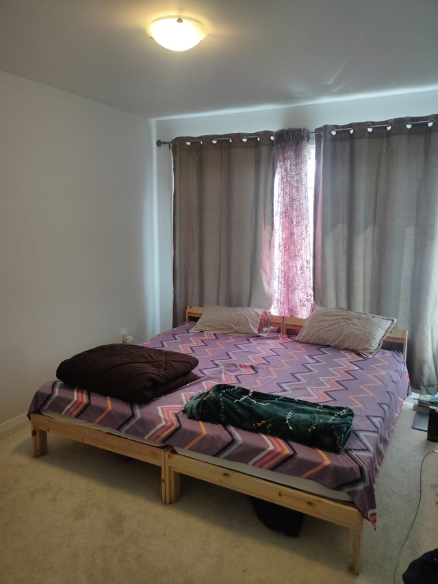 Room for rent in sharing  - Lindsay. Frost campus in Room Rentals & Roommates in Kawartha Lakes - Image 4