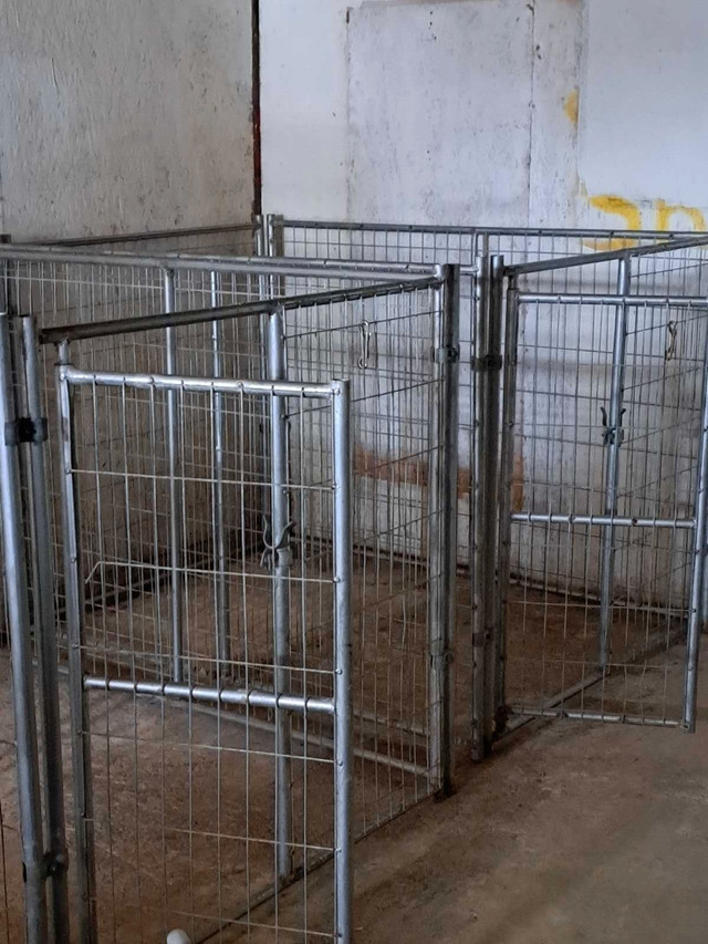 Dog kennals  in Garage Sales in Oshawa / Durham Region - Image 4