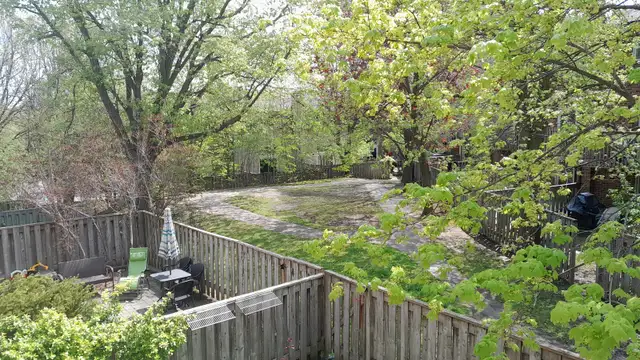 Master bedroom-Private Ensuite Bath-Safe & Green Area-North York in Room Rentals & Roommates in City of Toronto - Image 10
