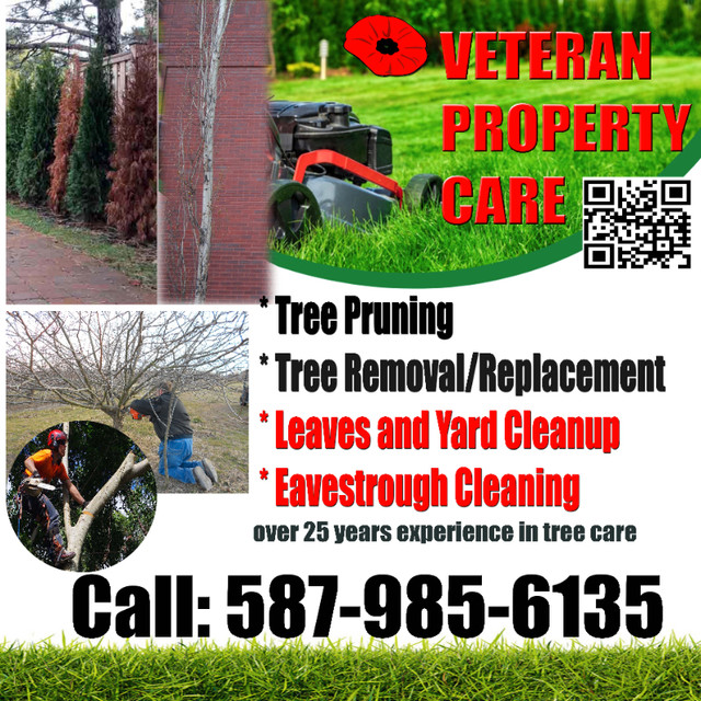 Spring Yard Cleanup in Lawn, Tree Maintenance & Eavestrough in Edmonton - Image 4
