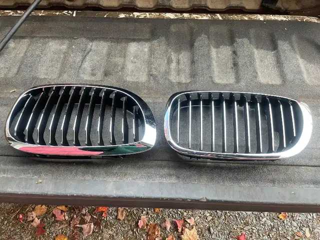 For Sale!! A Pair Aftermarket Grills For A BMW E46 Series Car!! in Auto Body Parts in Annapolis Valley - Image 4