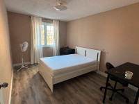 Room for rent near Algonquin College
