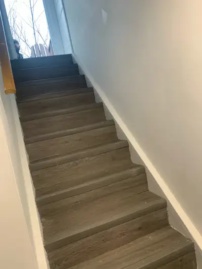1 bedroom basement in Malton