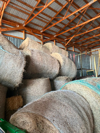 Horse quality hay. Rounds