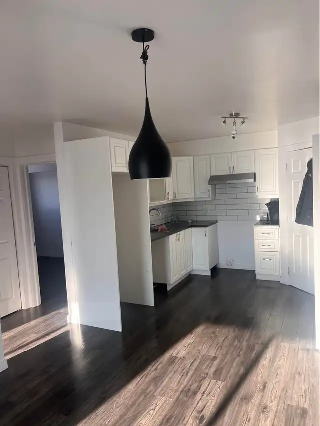 appartement 4 1/2 a louer in Long Term Rentals in Québec City - Image 4