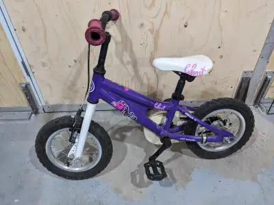 Petit vélo 12 po 1/2 tout fonctionnel, frein avant et arrière, bons pneus. Je le laisse à 20$.