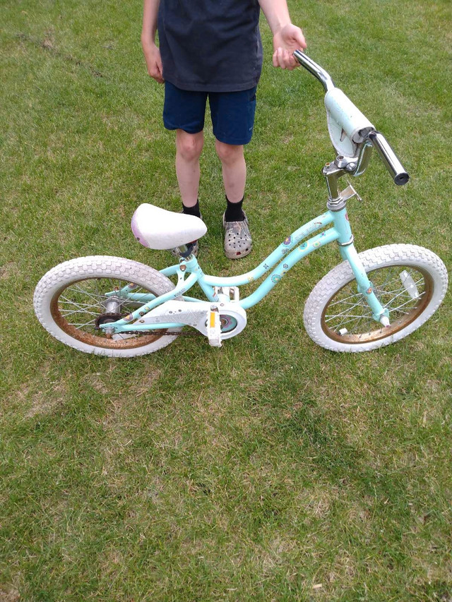 Girls Trek Bike in Kids in Winnipeg - Image 3