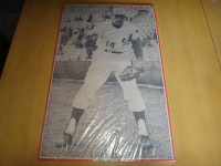 montreal expos baseball 1969 elroy face # 14 black/white poster