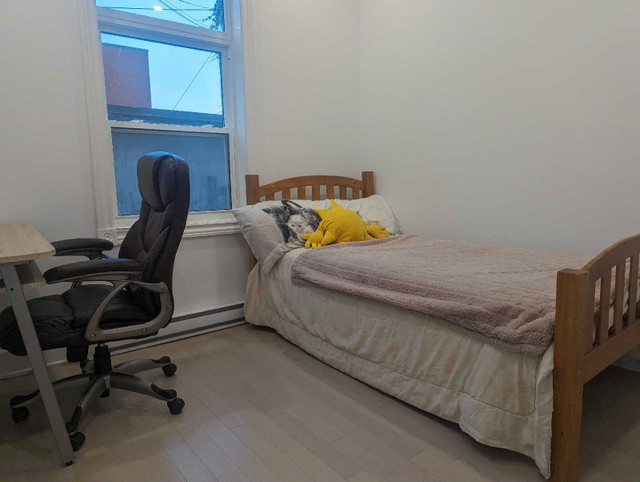 Clean and sunny room to share with females  dans Locations longue durée  à Ville de Montréal - Image 3